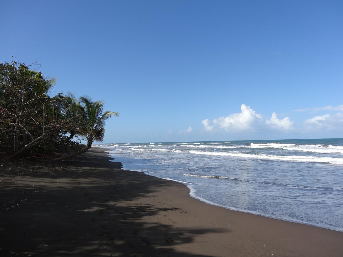 La Casona De Tortuguero Hotel Esterno foto