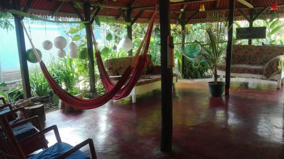 La Casona De Tortuguero Hotel Esterno foto